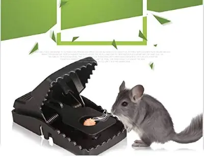 Picture of Indoor Mouse & Rat Trap – Safe and Durable Pest Catcher for Home & Office Black