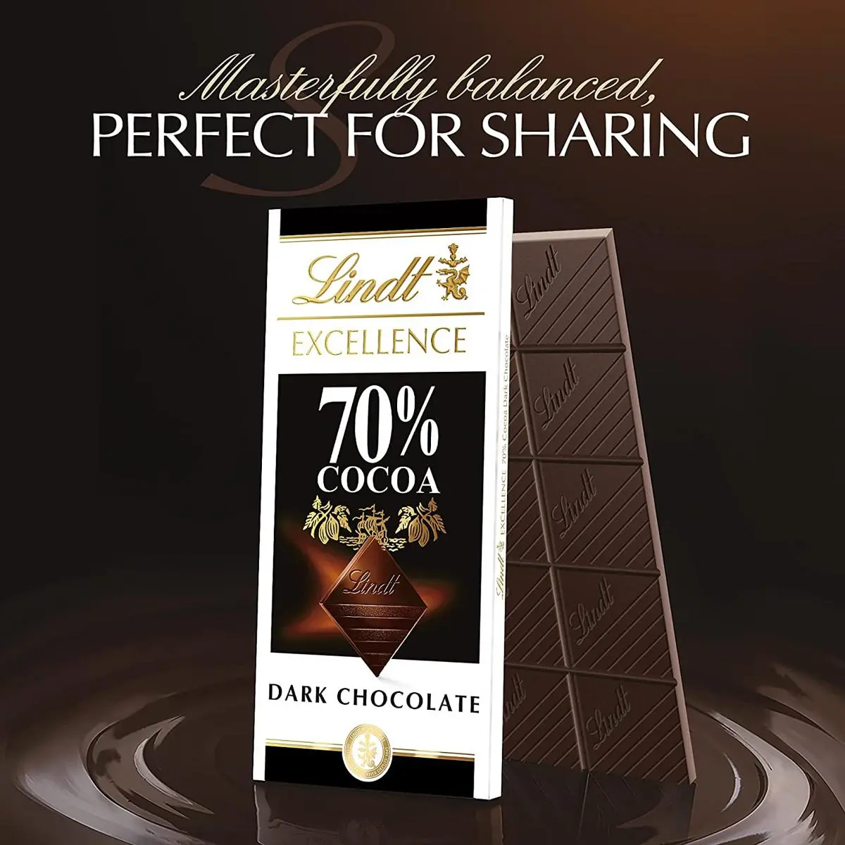 Picture of Lindt EXCELLENCE 70% Cocoa Dark Chocolate Bar, 100gm Pack