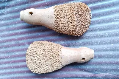 Picture of Clay_Pumice _Stone _Foot _ Matir _ foot _ Clean- 1 Piece