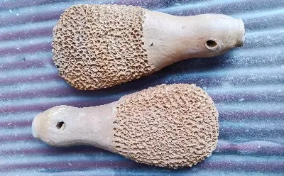 Picture of Clay_Pumice _Stone _Foot _ Matir _ foot _ Clean- 1 Piece