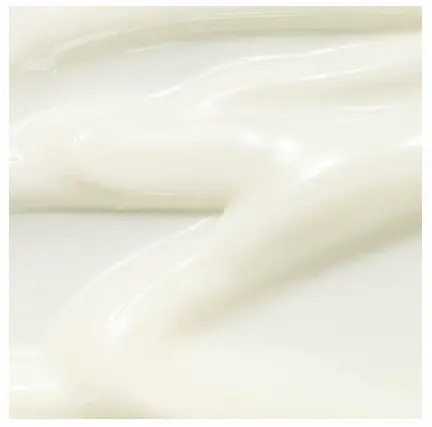 Picture of Beauty Of Joseon Sunscreen 10gm Rice + Probiotics Spf 50+ Pa++++