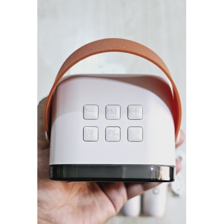 Picture of K12 RGB Karaoke Bluetooth Speaker with Two Microphone Multicolor
