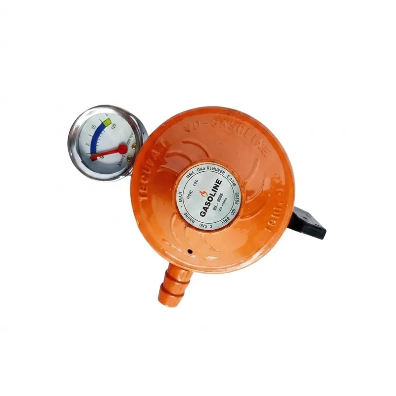 Picture of LPG 22mm Gas Regulator with Meter & 6Ft Hose Pipe (2Pcs Set) – Gasoline