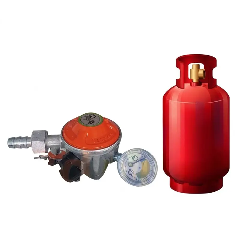 Picture of LPG Gas Safety Regulator 22mm/20mm Family Package for Kitchen Use, Made in Denmark by IGT