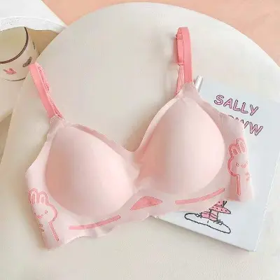 Picture of Cute Rabbit Print Traceless Lady Underwear Small Chest Converging Soft Support Anti Sagging Women's Bra
