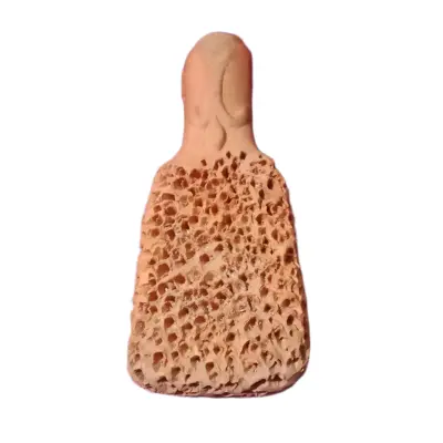 Picture of মাটির ব্রাশ পা পরিষ্কার করার জন্যXXL (Gold)