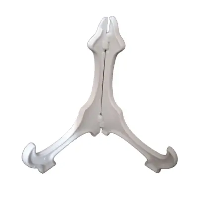 Picture of ১২ পিসের এক সেট প্লেট ইস্টার্ন