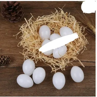 Picture of 10 PCS Pigeon Plastic Fake Eggs , Pigeon Hatching Supplies 1Pack,10 gm