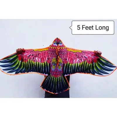 Picture of 5 Feet Egale Kite. (Multicolor)