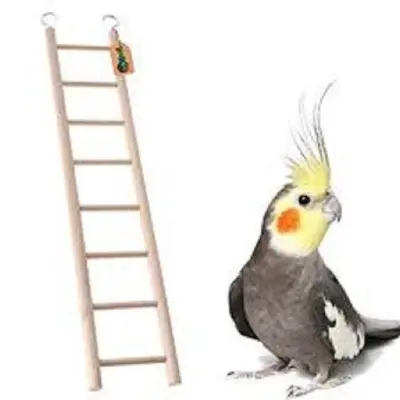 Picture of Wooden Bird ladder fun cage toy for bird training 1pcs