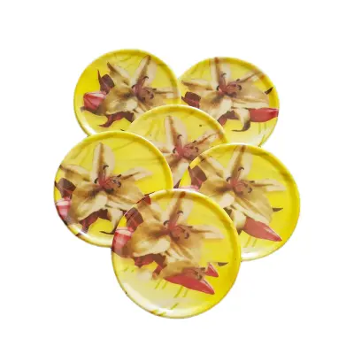 Picture of 6 Pcs Melamine Lid Coffee Tea Mug Cup Tumbler Glass Cap Cover 3.55",Glass Cap,Mug Cap,Bowl Cap,Gift and Home Decaration - Kitchen Rack (Multicolor)