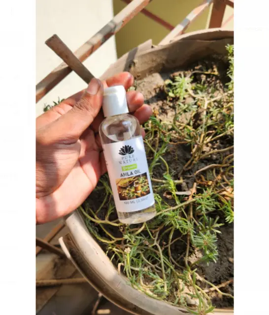 Picture of Pure Nature Amla Oil for Hair 100ml Hair