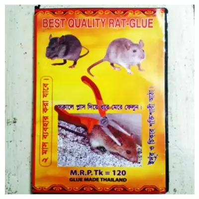 Picture of Rat Glue Trap Best - 1 Piece