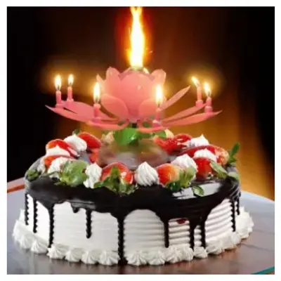 Picture of Music Play Lotus Candle Romantic Happy Birthday Candle
