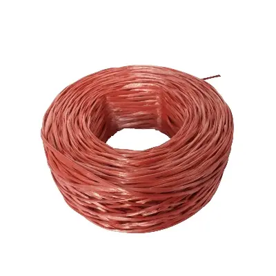 Picture of Plastic Rope for Packiaging-প্লাস্টিক দড়ি-1 Piece- Vintage Hub