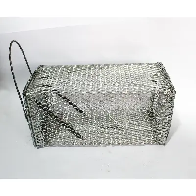 Picture of Mouse Rat Trap Cage Metallic Mouse Trap for Capturing live Rat/ Mouse/ Rodents Diamond Cut Design-Big Size(28cmX11cmX11cm)