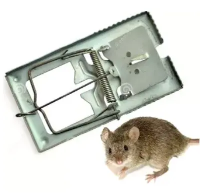Picture of 3 Piece- Rat Trap Reusable Stainless Stell