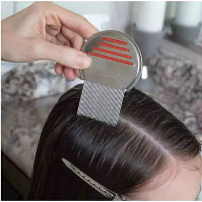 Picture of Lice and Nit Egg Free Treatment Professional Plastic Lice Removal Comb new