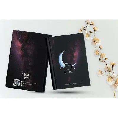 Picture of Painting Journal (So let it be)