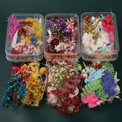 Picture of Natural Dry Flowers For Resin Art