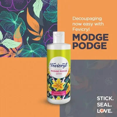 Picture of Fevicryl Modge Podge Gloss 120ml