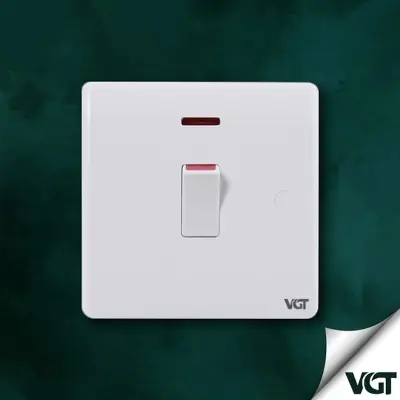 Picture of VGT  20A DP Switch  (Classic series)