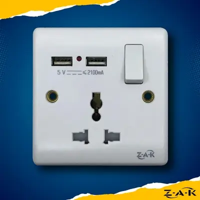 Picture of ZAK 3 Pin 2 USB socket with switch (Business series)