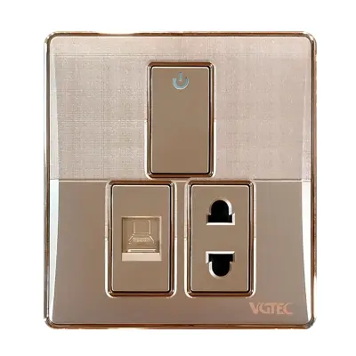 Picture of VGTEC Internet socket & 2 Pin socket with switch (Platinum series)