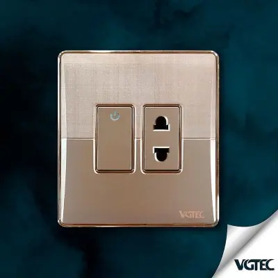 Picture of VGTEC  2 Pin socket with switch (Platinum series)