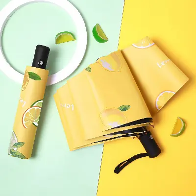 Picture of Fruit Print Bmw Umbrella 2:1 | Waterproof & Stylish for All-Weather Protection | Best Umbrella for Girls