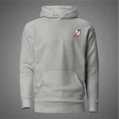 Picture of Fortune Barishal Hudi For Men - Premium Cricket Hoodies For Men - Barishal Cricket Hudibd