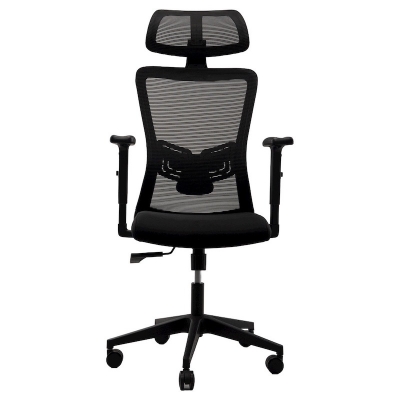 Picture of REGAL Office Swivel Chair Ergonomic Chair- D86
