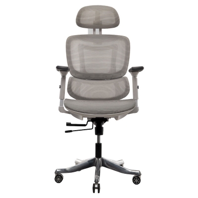 Picture of REGAL Office Swivel Chair Ergonomic Chair- ZF01