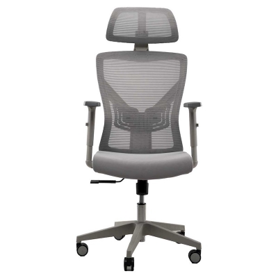 Picture of REGAL Office Swivel Chair Ergonomic Chair- B37