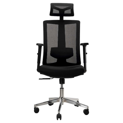 Picture of REGAL Office Swivel Chair Ergonomic Chair- B36