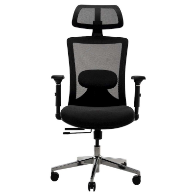 Picture of REGAL Office Swivel Chair Ergonomic Chair- B35