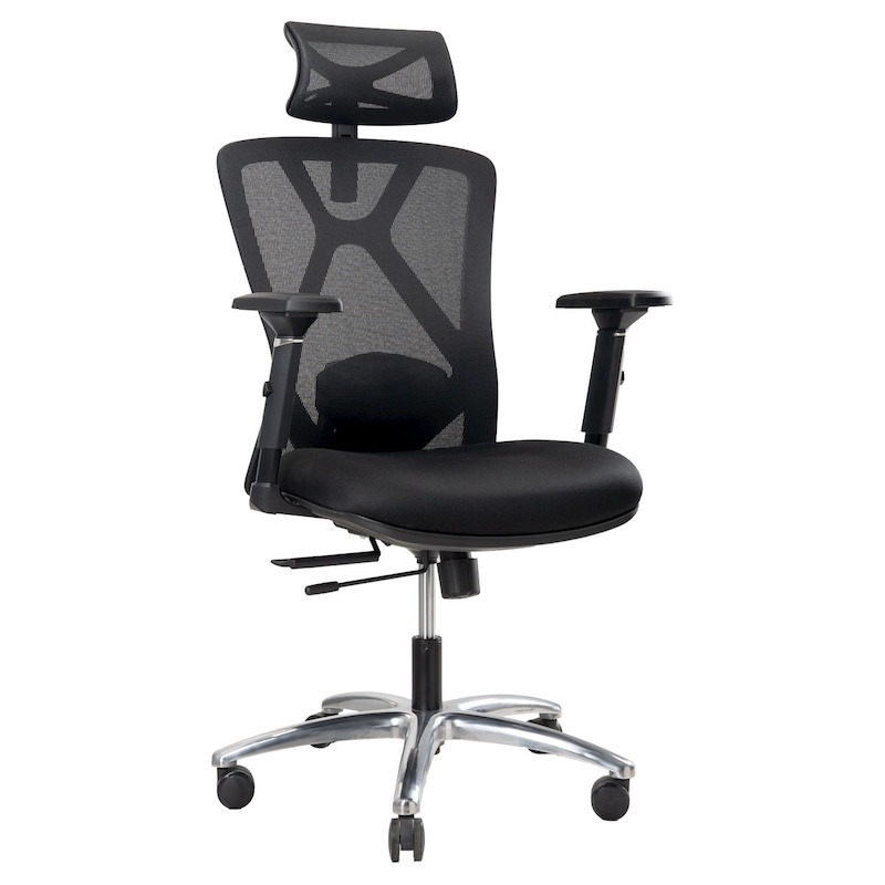 Picture of REGAL Office Swivel Chair Ergonomic Chair- B31