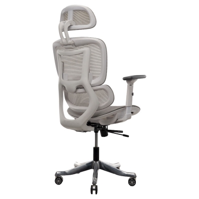 Picture of REGAL Office Swivel Chair Ergonomic Chair- ZF01