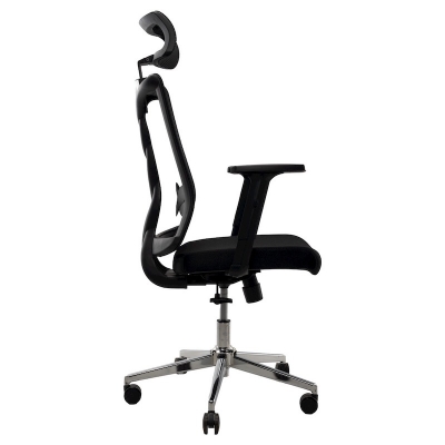 Picture of REGAL Office Swivel Chair Ergonomic Chair- B18