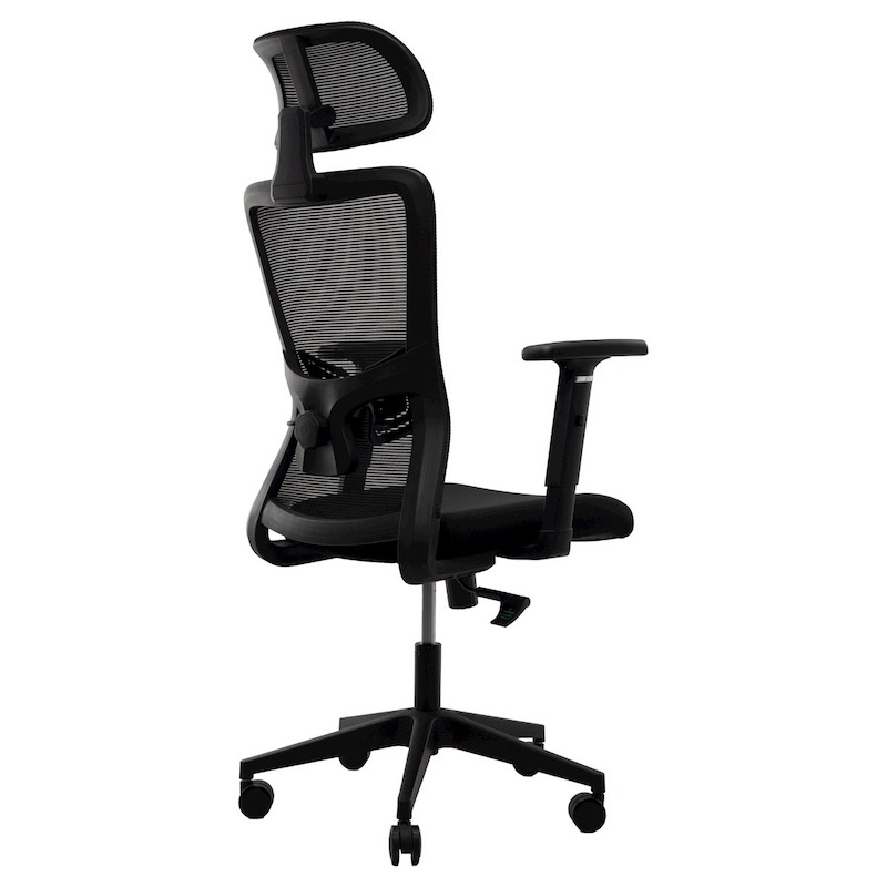 Picture of REGAL Office Swivel Chair Ergonomic Chair- D86