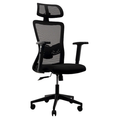 Picture of REGAL Office Swivel Chair Ergonomic Chair- D86