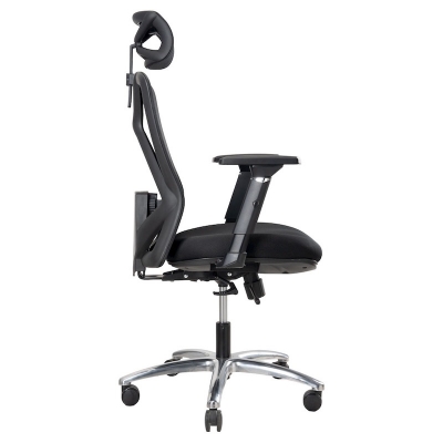 Picture of REGAL Office Swivel Chair Ergonomic Chair- B31