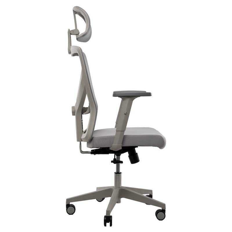 Picture of REGAL Office Swivel Chair Ergonomic Chair- B37