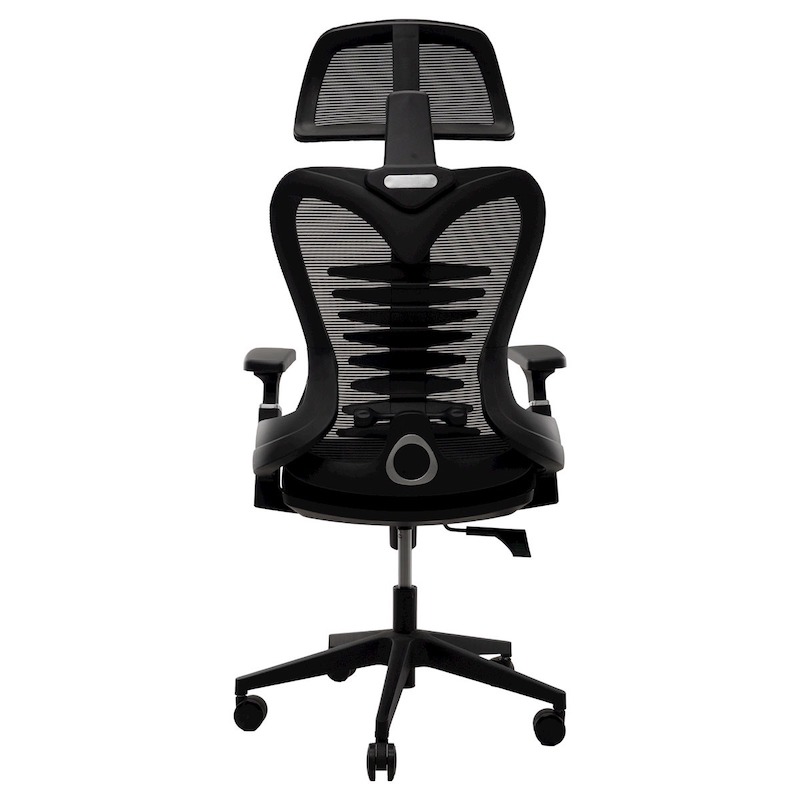 Picture of REGAL Office Swivel Chair Ergonomic Chair- B38