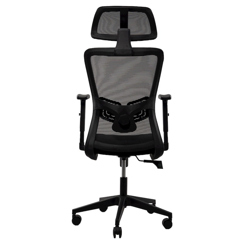 Picture of REGAL Office Swivel Chair Ergonomic Chair- D86