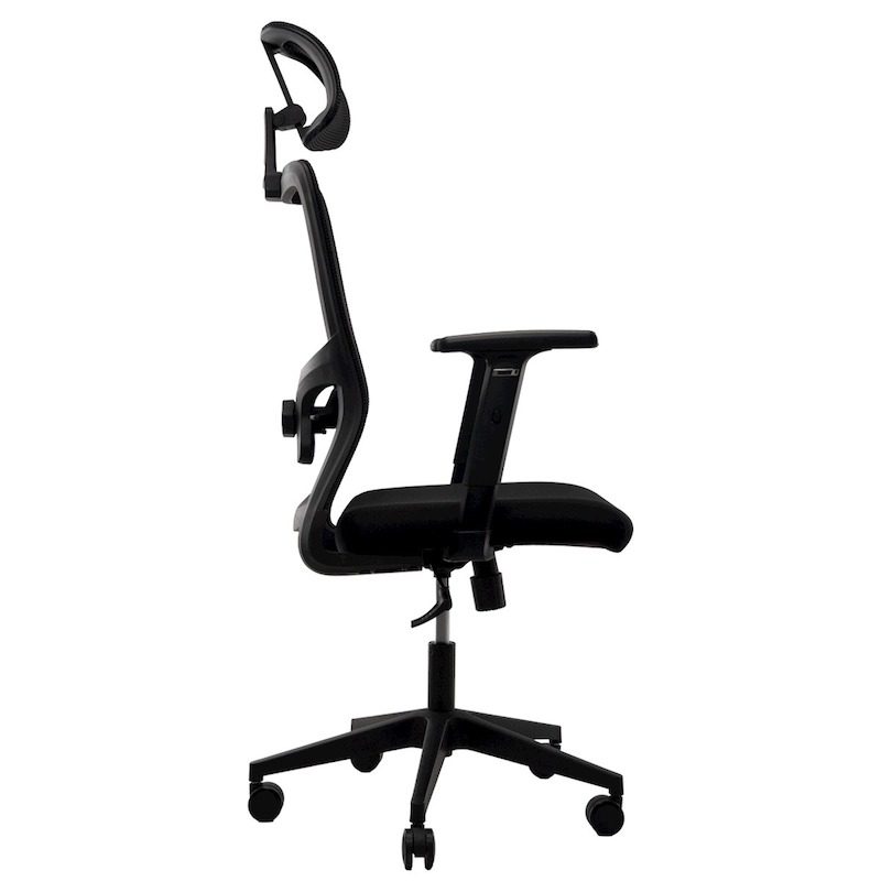 Picture of REGAL Office Swivel Chair Ergonomic Chair- D86