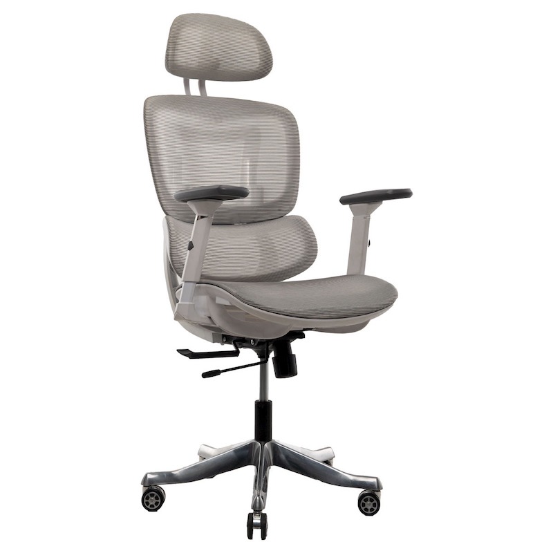 Picture of REGAL Office Swivel Chair Ergonomic Chair- ZF01