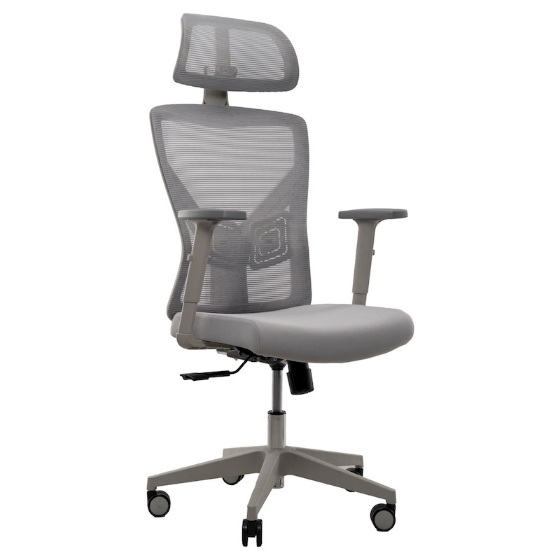 Picture of REGAL Office Swivel Chair Ergonomic Chair- B37