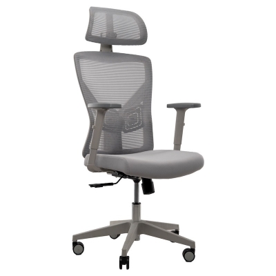 Picture of REGAL Office Swivel Chair Ergonomic Chair- B37