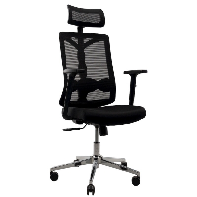 Picture of REGAL Office Swivel Chair Ergonomic Chair- B18